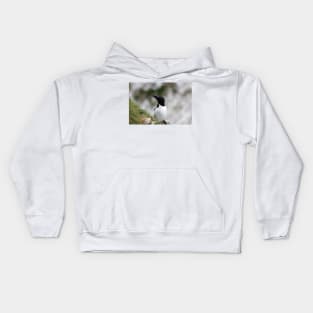 Razorbill on cliff top Kids Hoodie